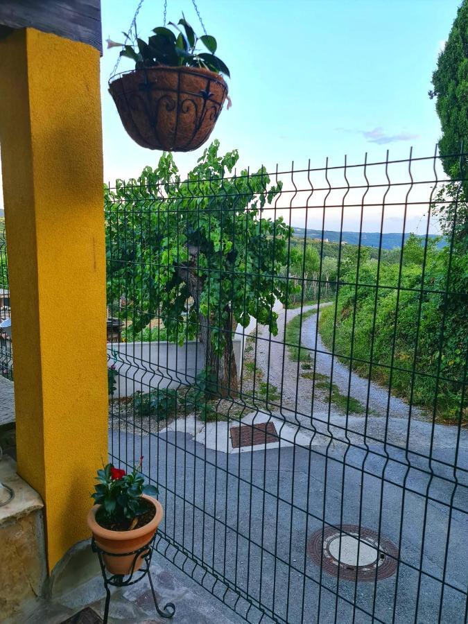 Casa Villanova Homes Nova Vas nad Dragonjo エクステリア 写真