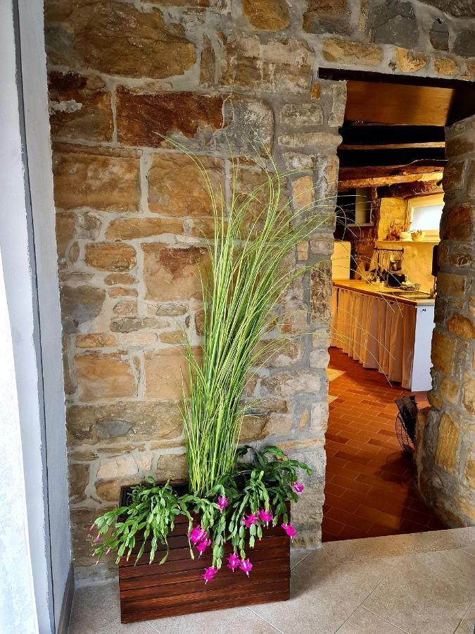 Casa Villanova Homes Nova Vas nad Dragonjo エクステリア 写真