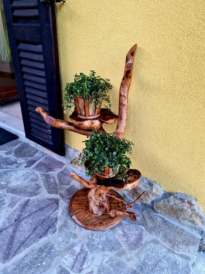Casa Villanova Homes Nova Vas nad Dragonjo エクステリア 写真